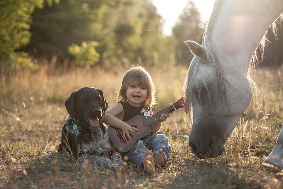 Przyjaciele  Naszą pasją są konie i gra na gitarze ,na zdjęciu najmłodszy pasjonat w Rodzinie 2,5 letni Igor i Jego team